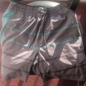 Gray and Teal Striped Swim Shorts